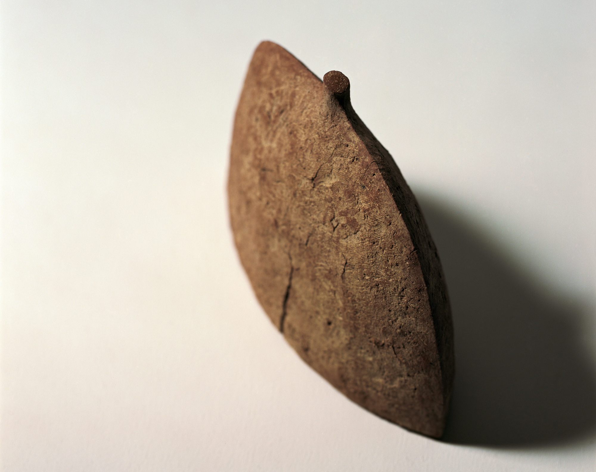 フライヤー用  トリミング